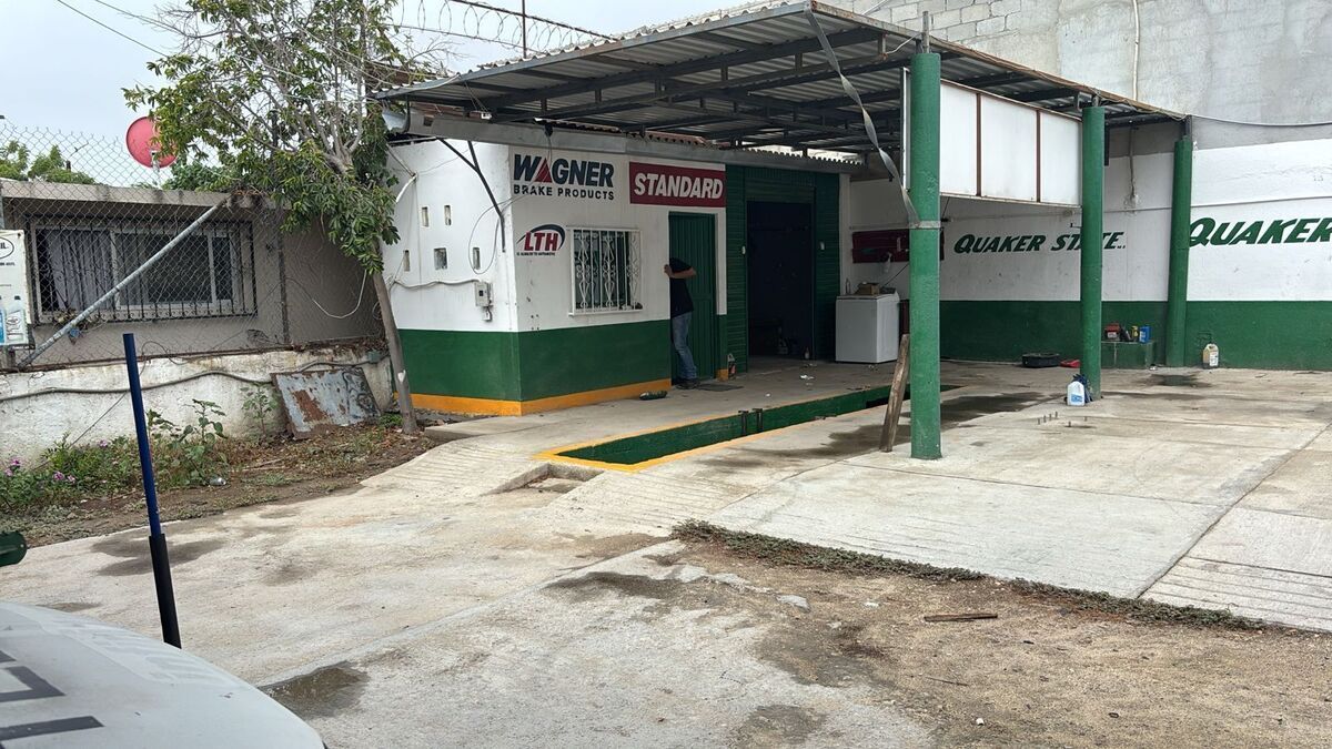 4 de 6