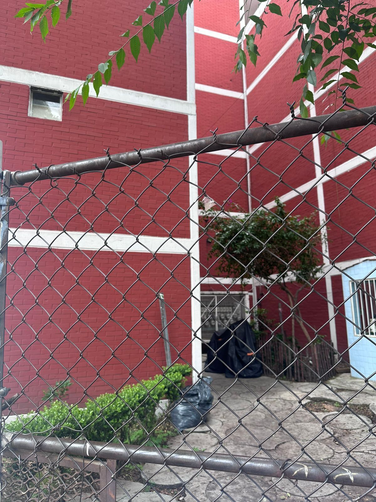 2 de 11