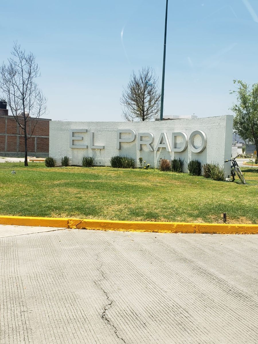 Imagen 6 de 10