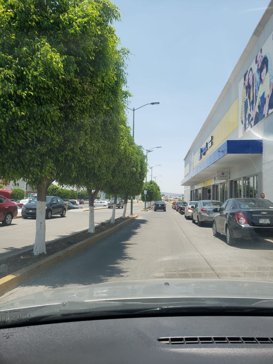 Imagen 8 de 10