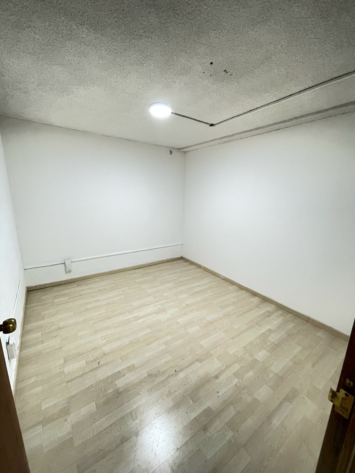 Local Comercial en Plaza Arboledas: Ideal para Oficinas /Consultorios - foto 4