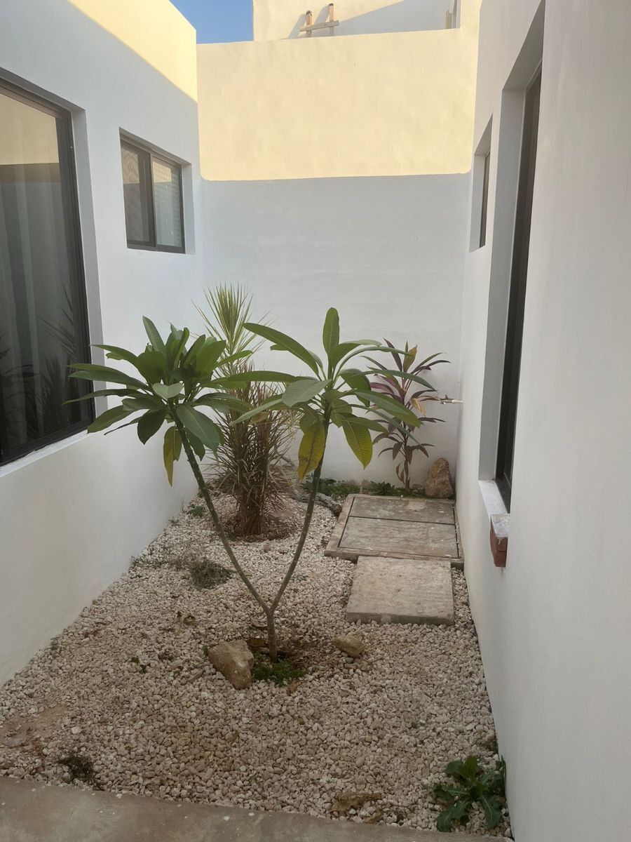 6 de 16
