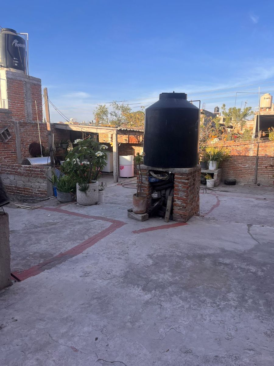2 de 24