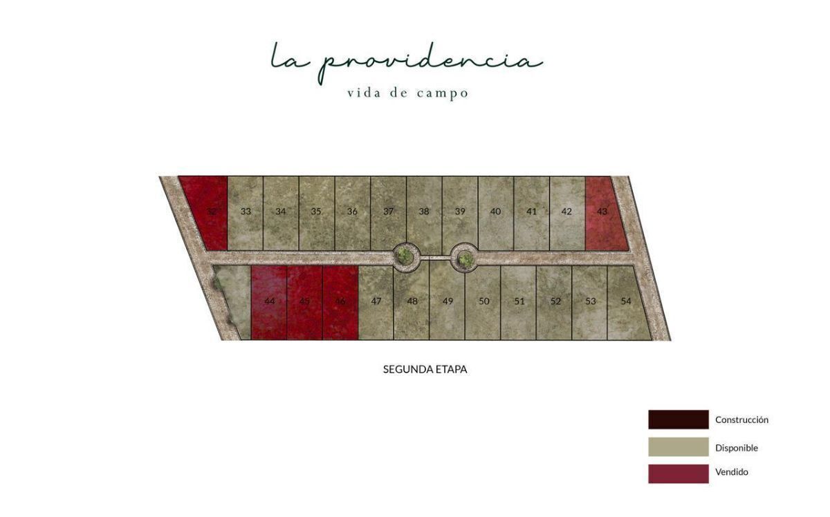 4 de 4