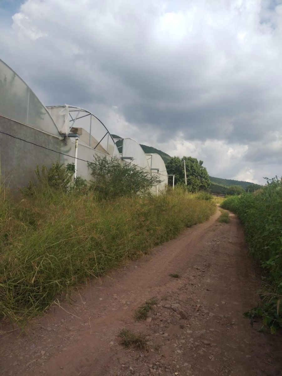 Terreno ejidal en venta - foto 2