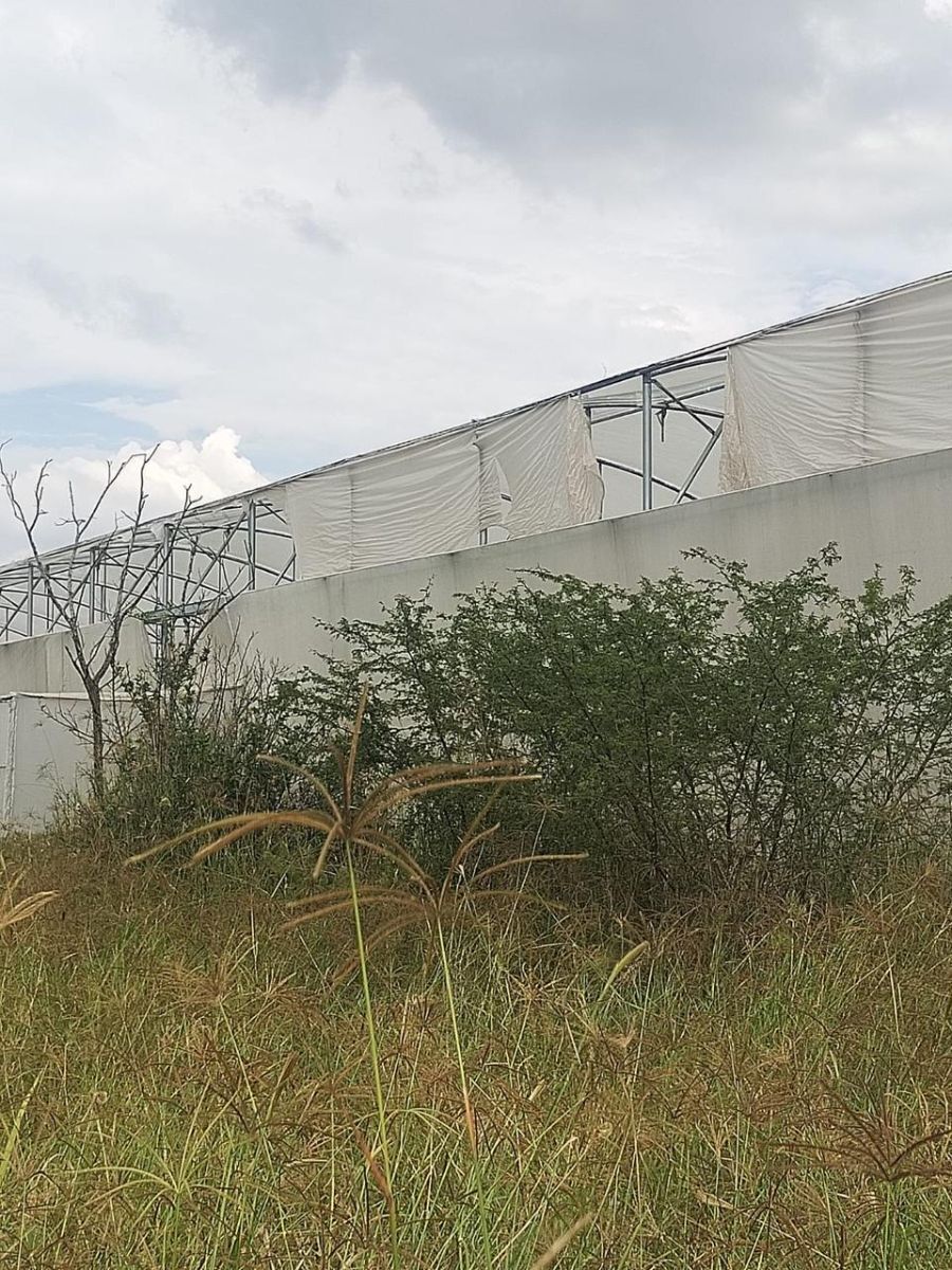 Terreno ejidal en venta - foto 3