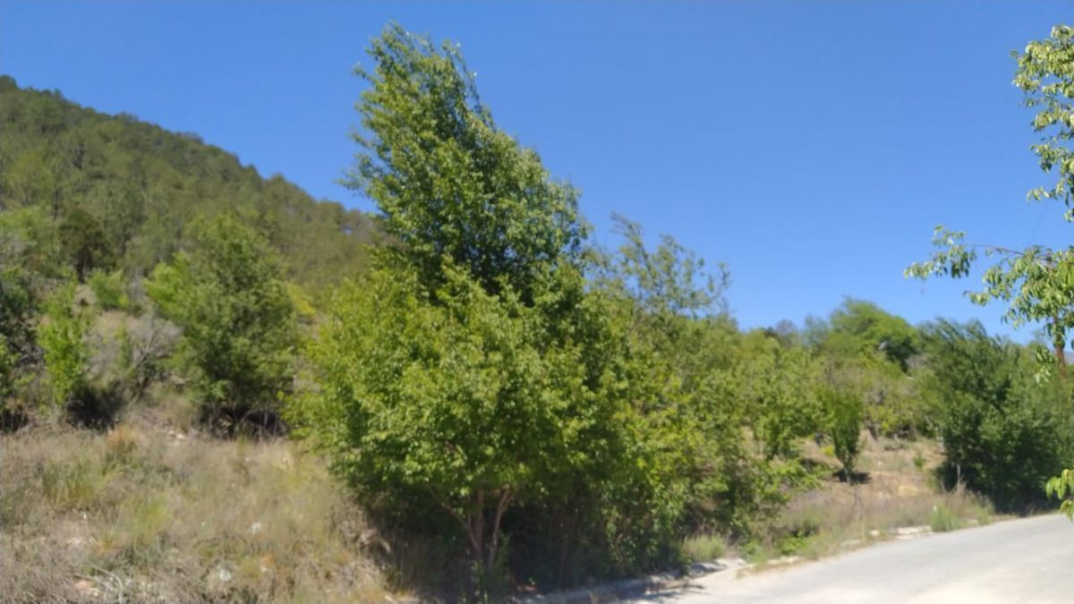 2 de 3