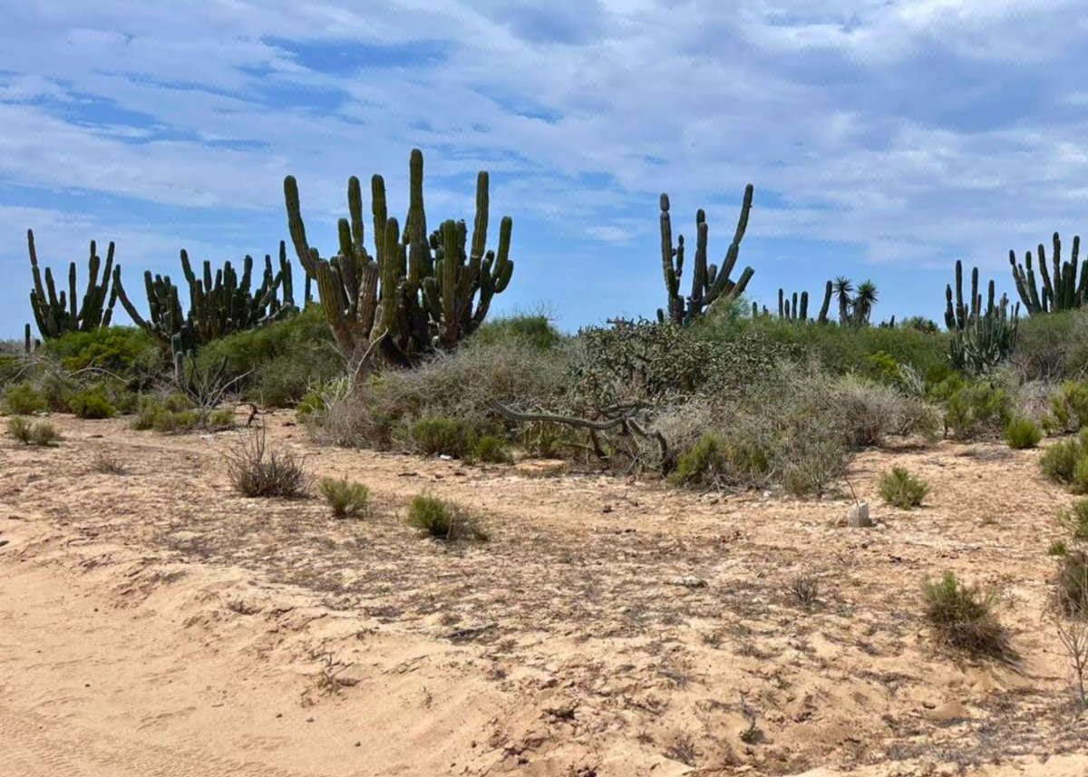 Lote 70 Agua Blanca
