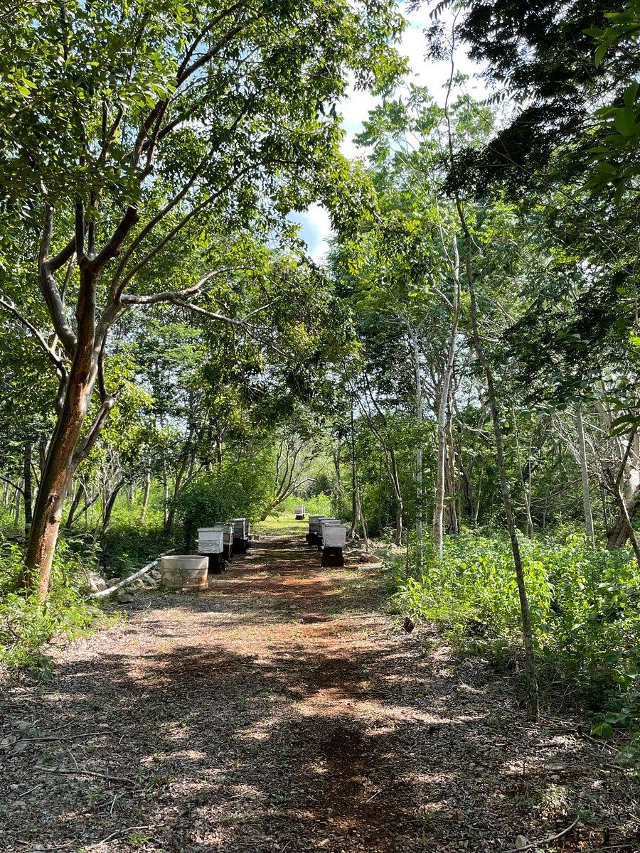 Rancho en Tecoh, Tecoh, foto 16 de 47