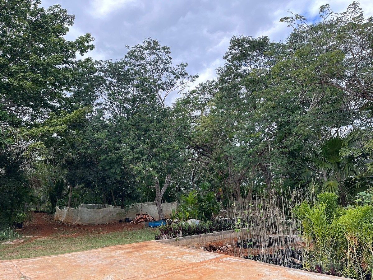 Rancho en Tecoh, Tecoh, foto 24 de 47