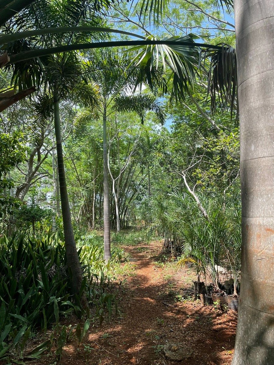 Rancho en Tecoh, Tecoh, foto 40 de 47