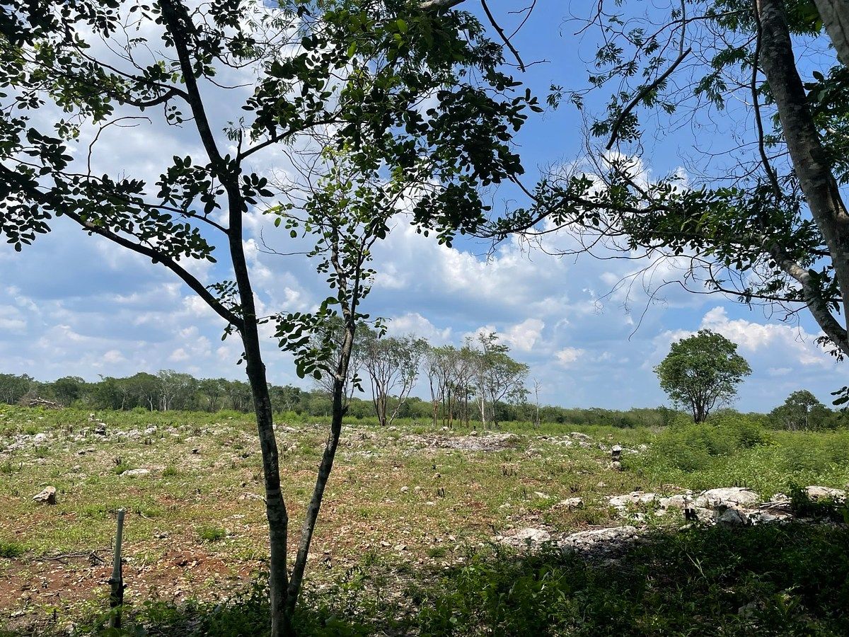 Rancho en Tecoh, Tecoh, foto 42 de 47