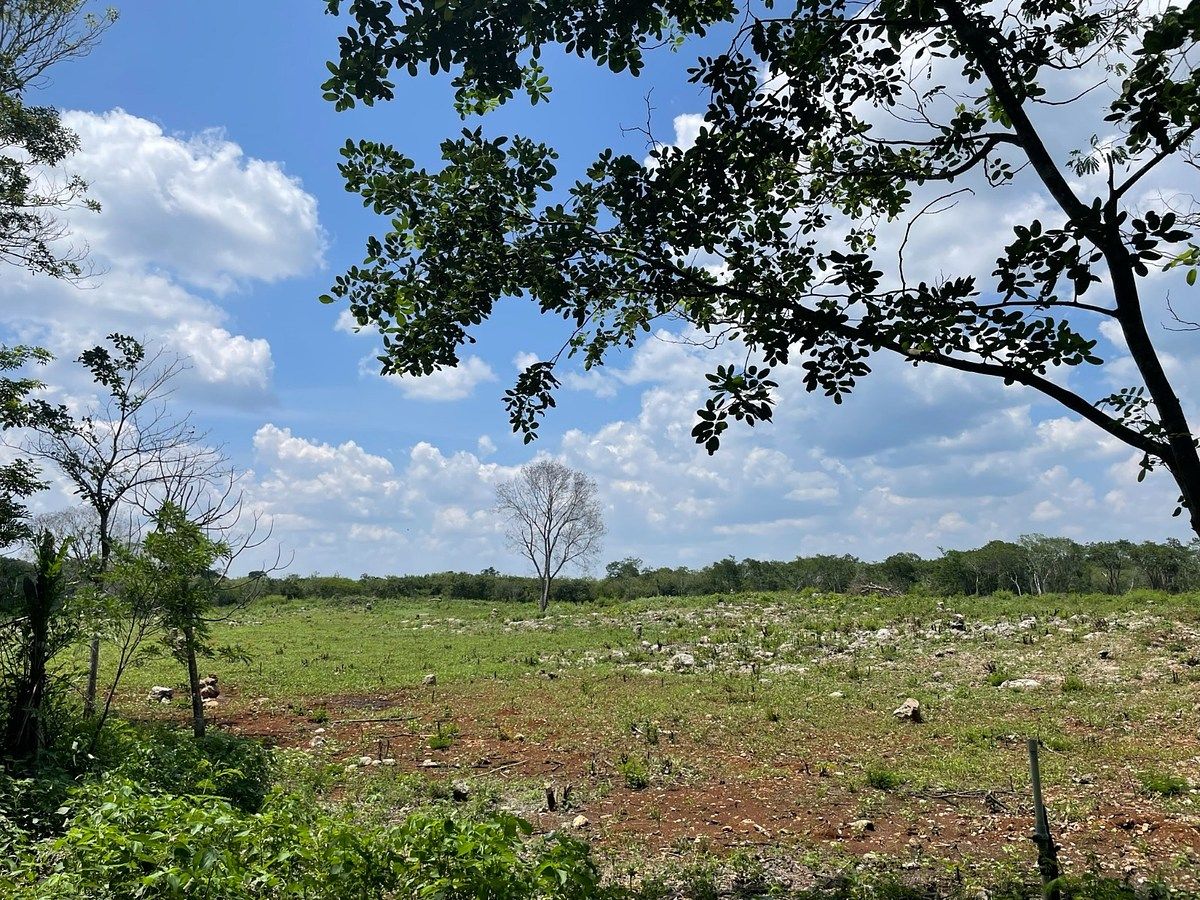 Rancho en Tecoh, Tecoh, foto 43 de 47