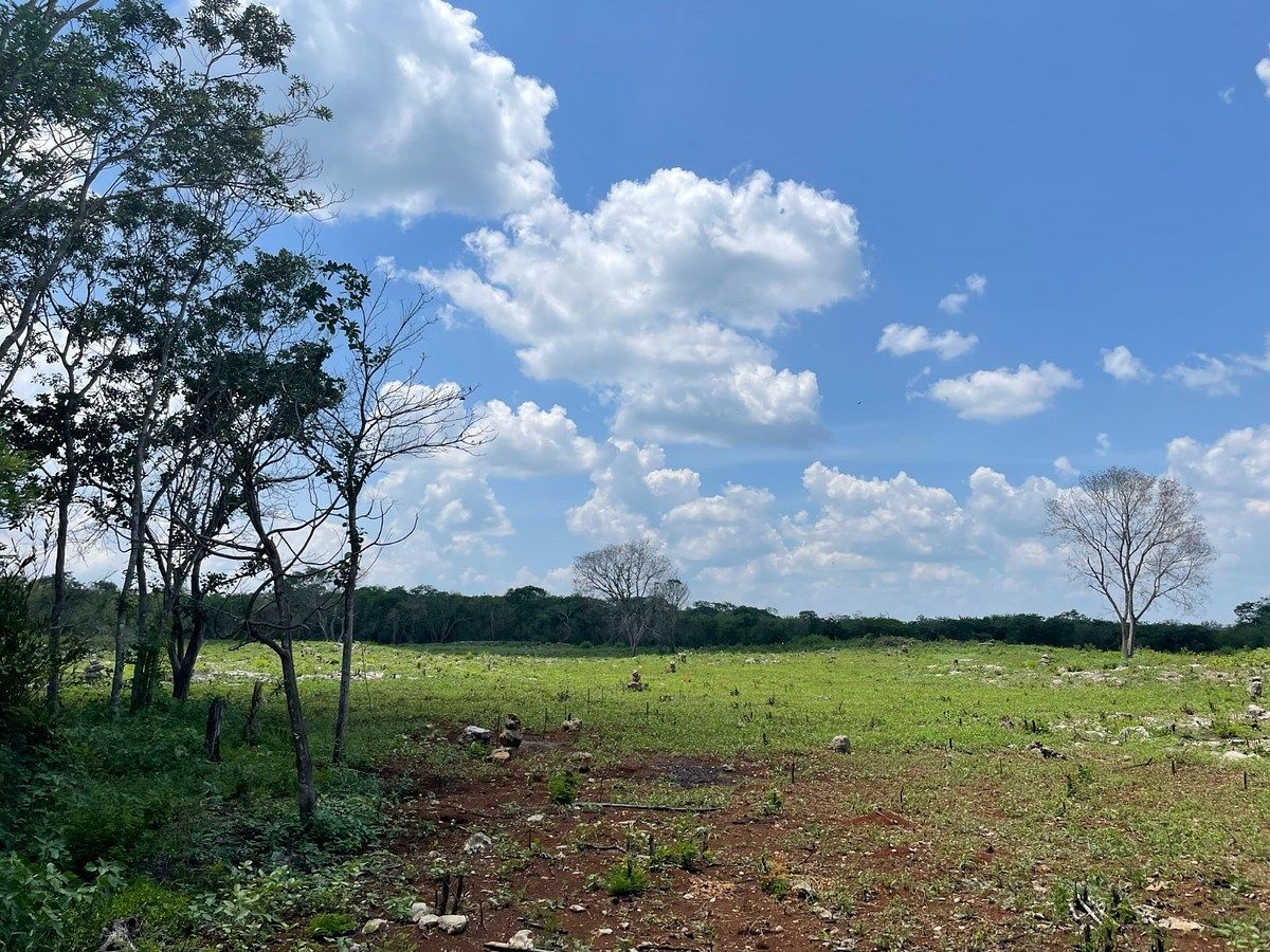 Rancho en Tecoh, Tecoh, foto 44 de 47