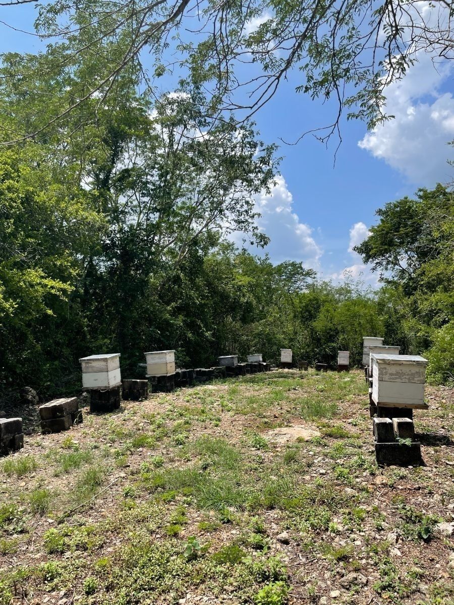 Rancho en Tecoh, Tecoh, foto 4 de 47