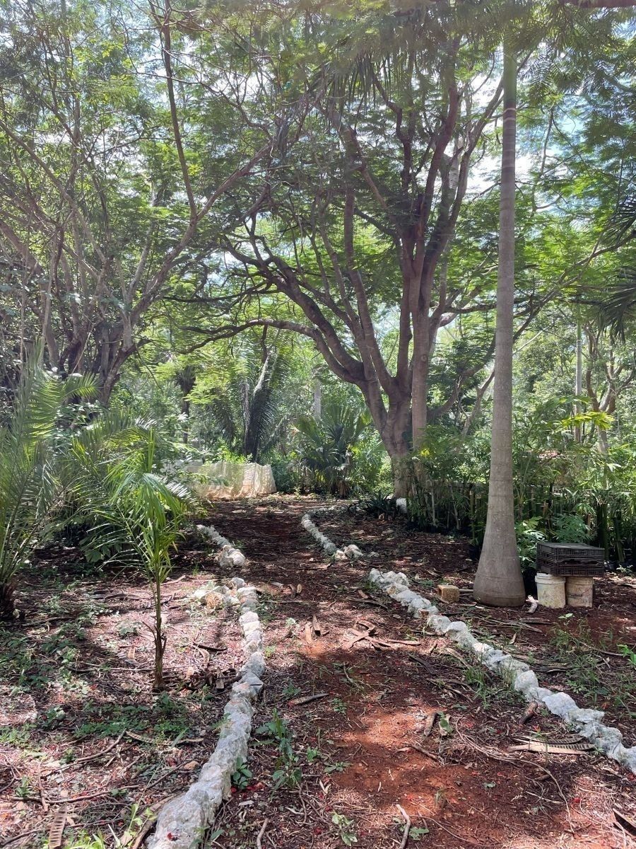 Rancho en Tecoh, Tecoh, foto 7 de 47