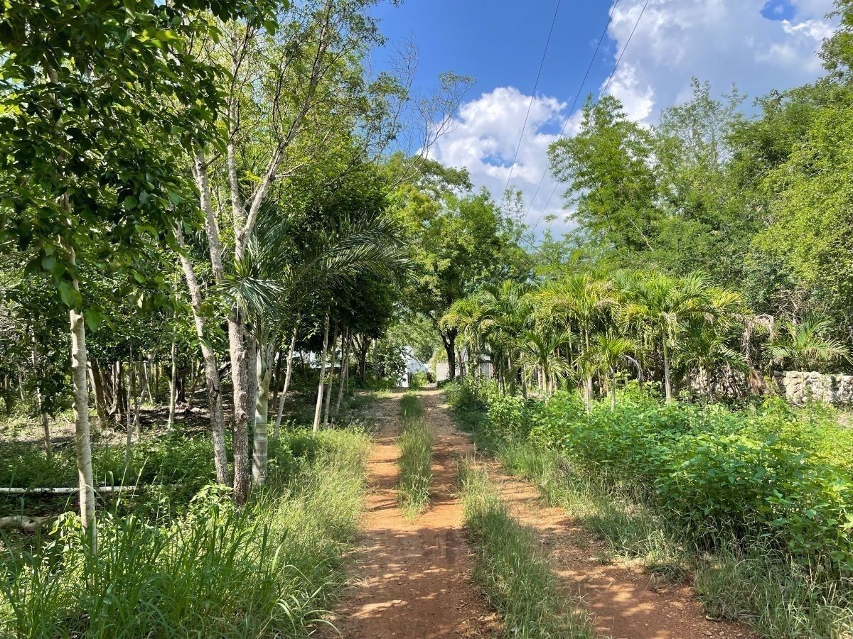 Rancho en Tecoh, Tecoh, foto 10 de 47
