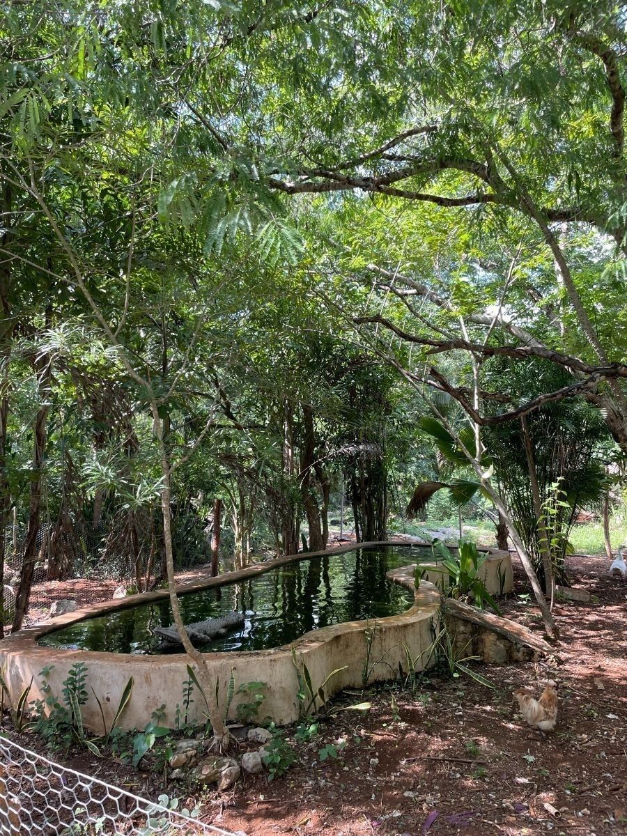 Rancho en Tecoh, Tecoh, foto 11 de 47