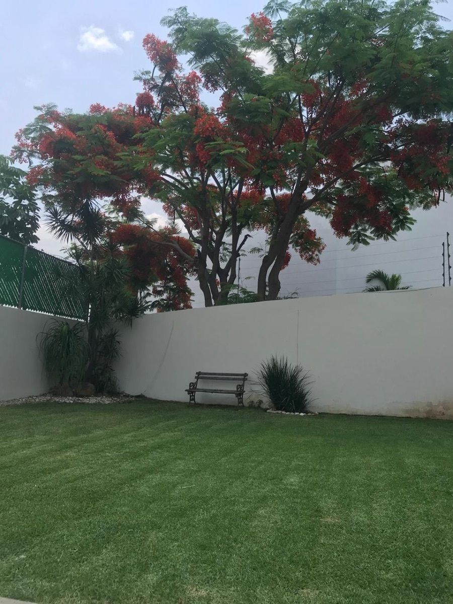 5 de 23