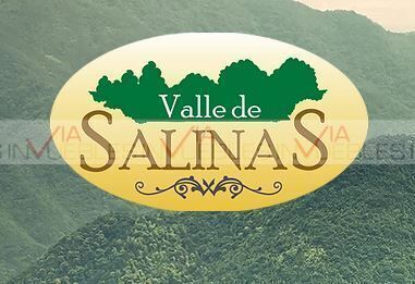 Imagen 1 de 9