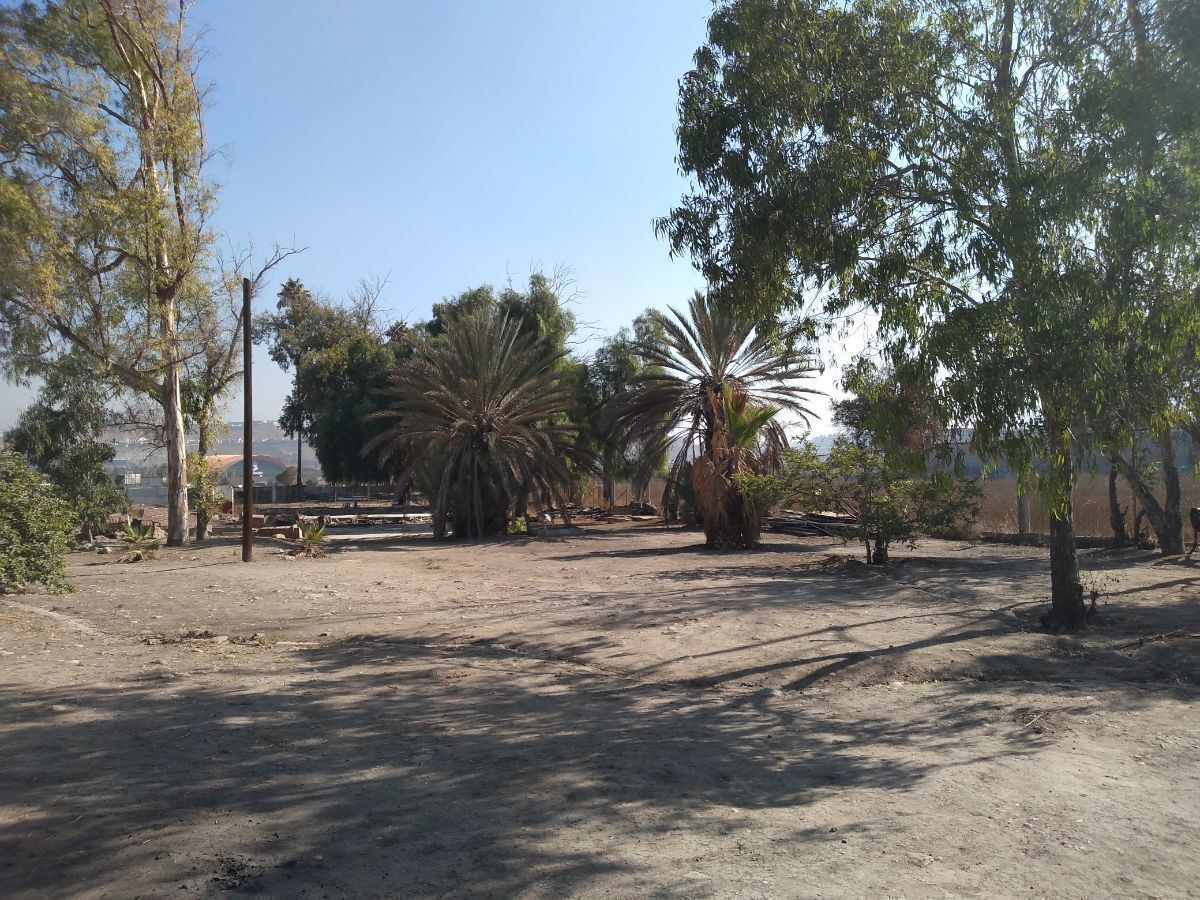 5 de 10