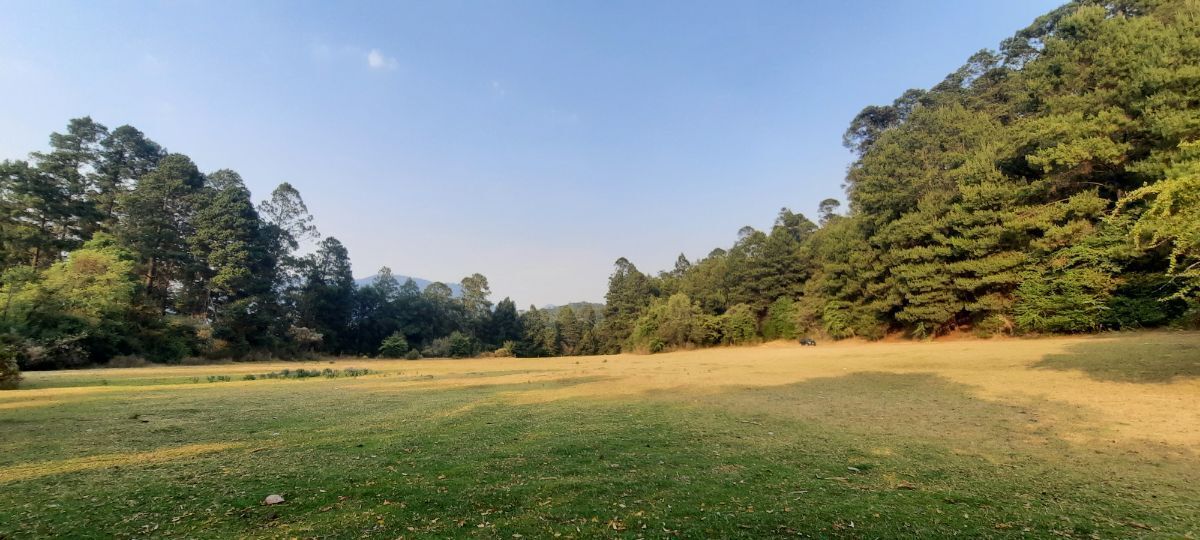1 de 37