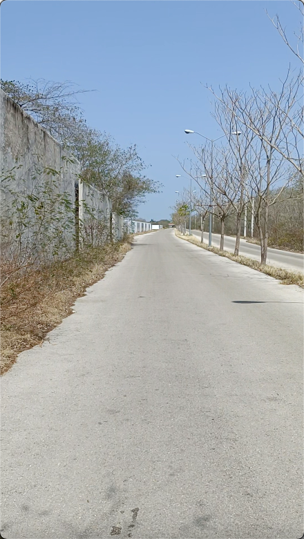 3 de 5
