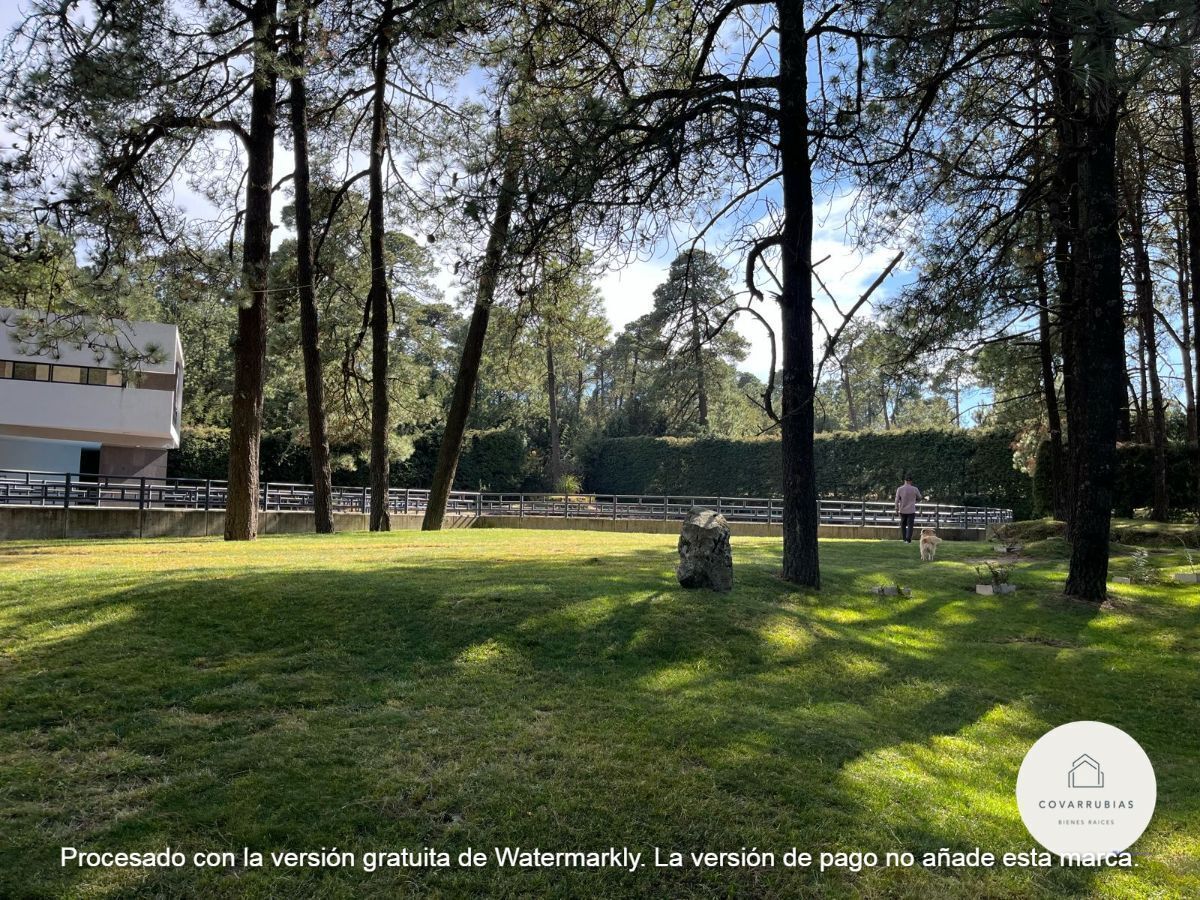 Imagen 7 de 10