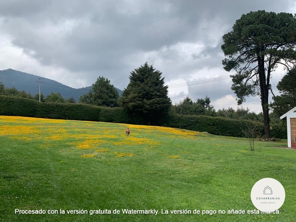 Imagen 8 de 10