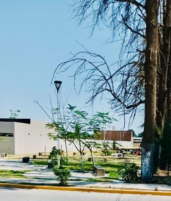 4 de 16