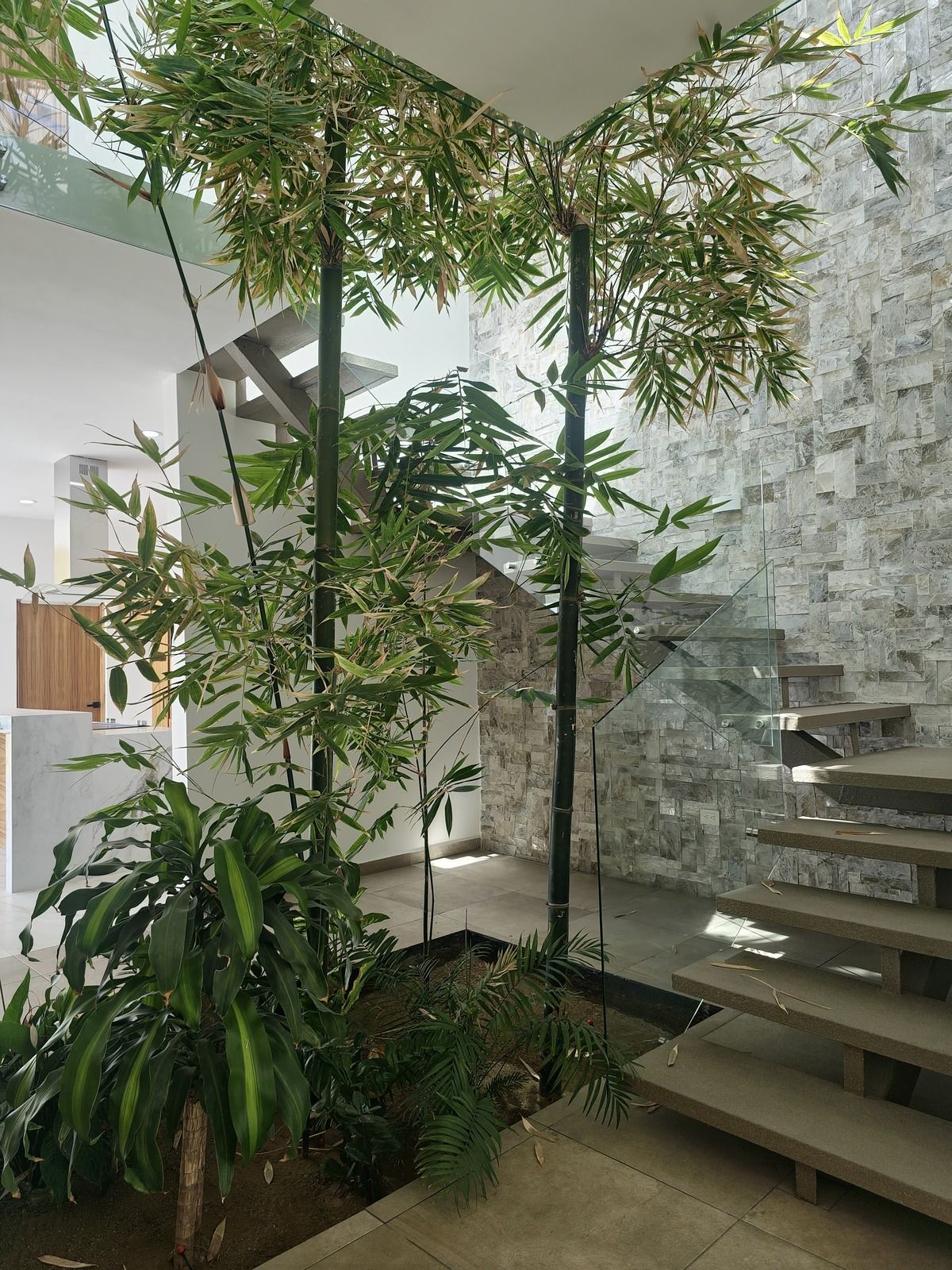 3 de 34: Jardín interior