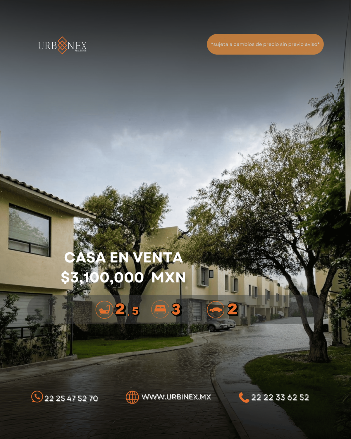 1 de 16