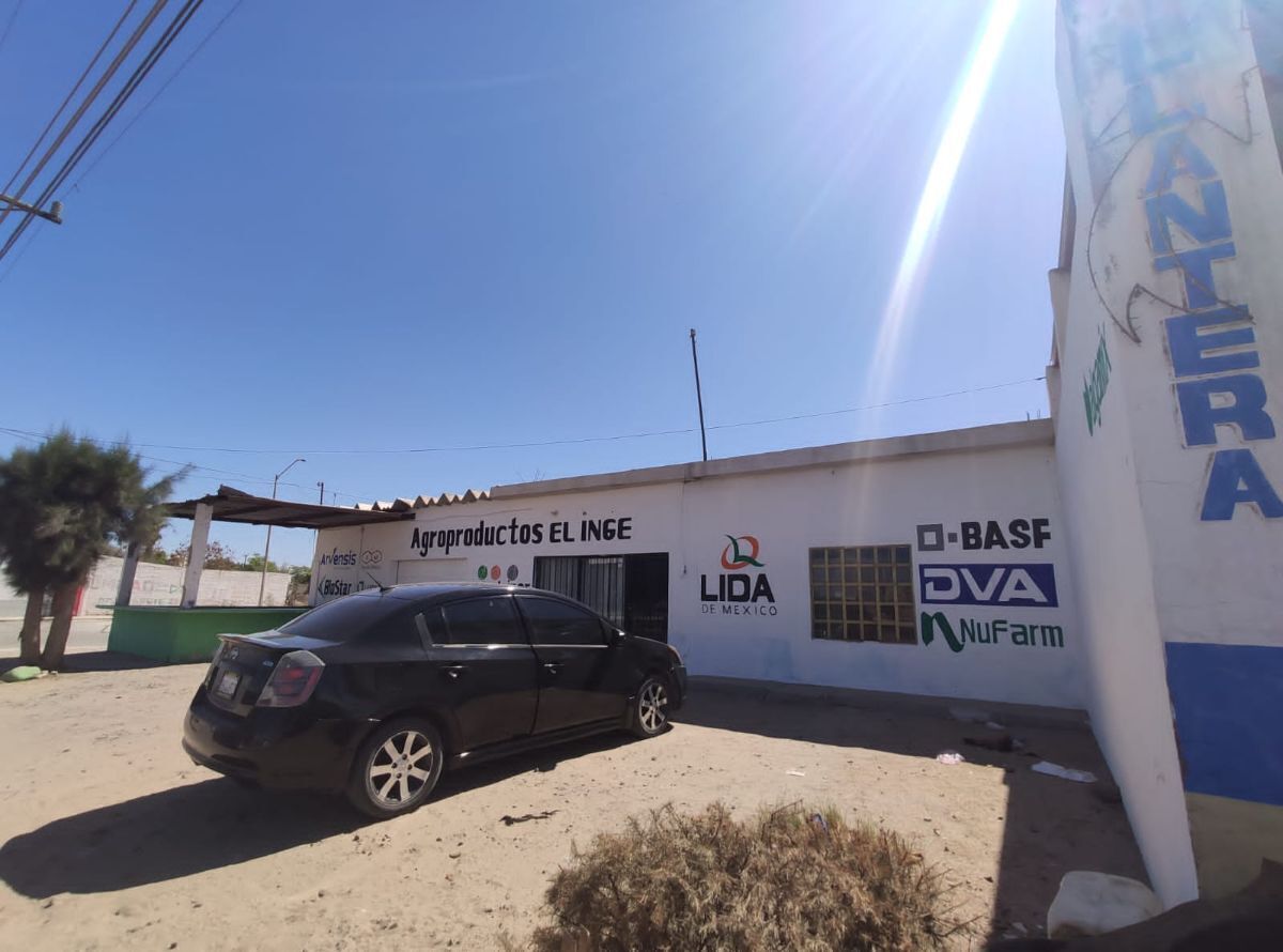 3 de 17