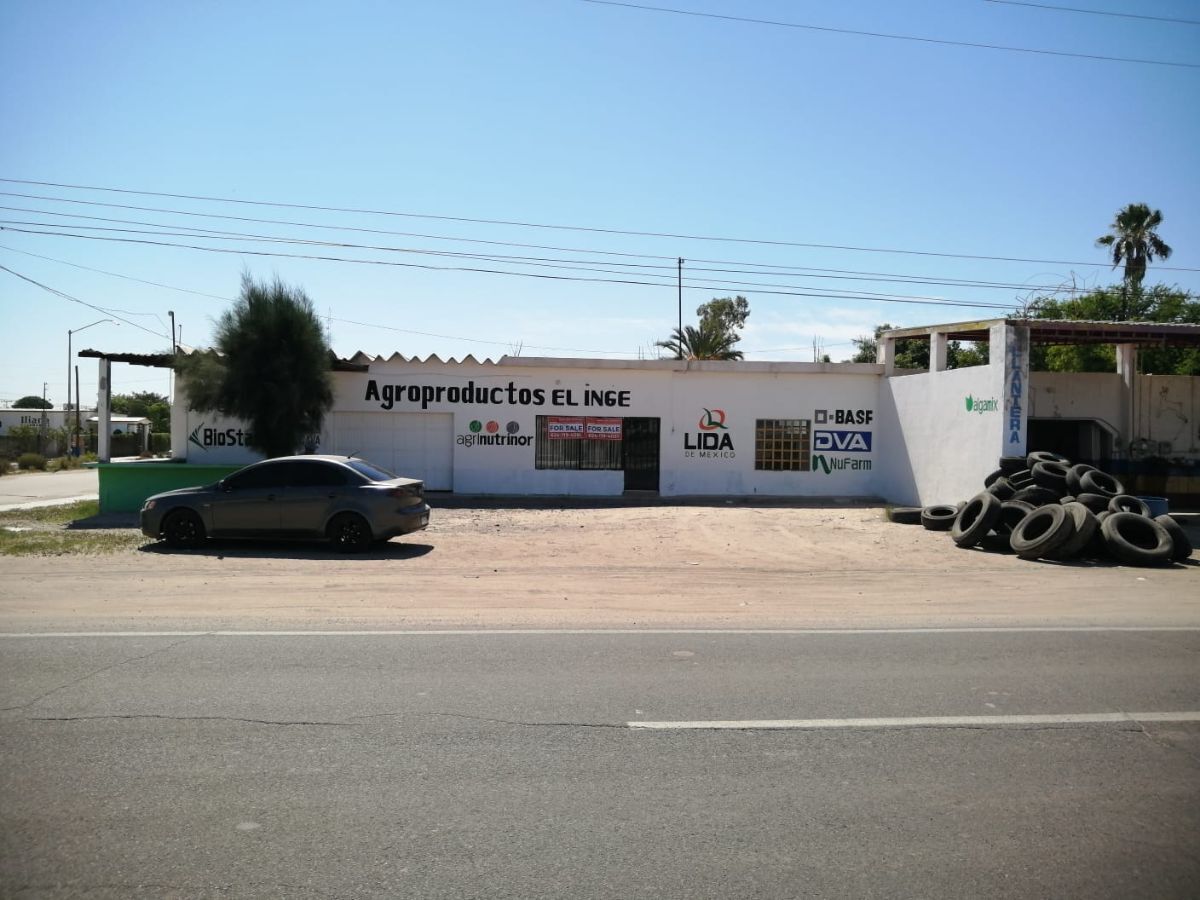 1 de 17