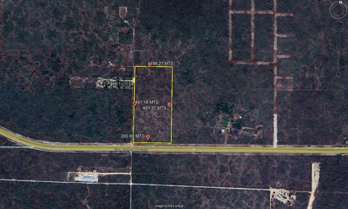 TERRENO DE 8 HECTÁREAS EN CARRETERA MÉRIDA-CANCUN - foto 3