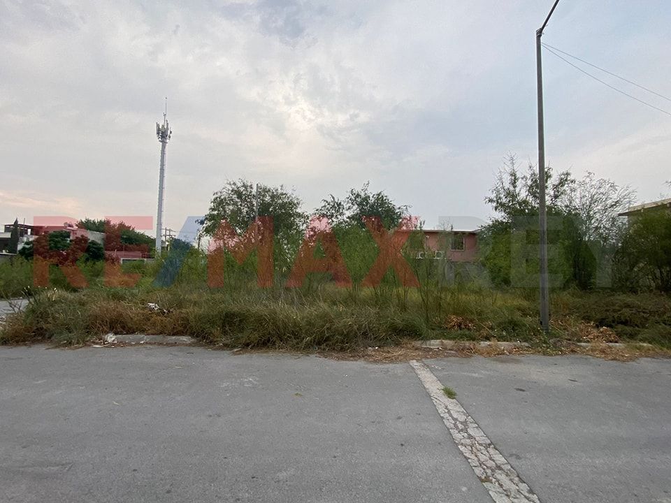 1 de 8