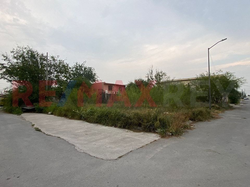 4 de 8