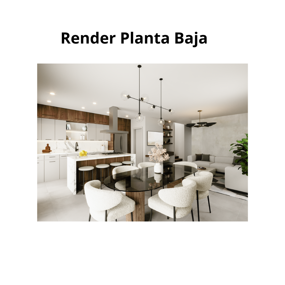 Render planta baja