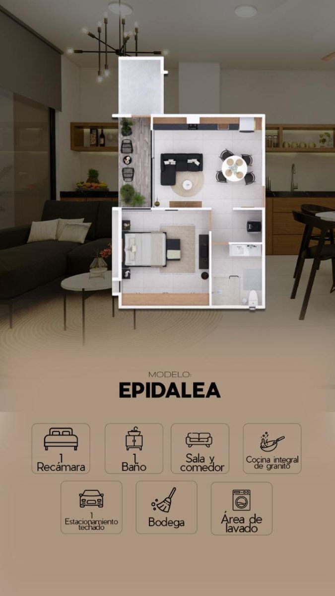 5 de 8