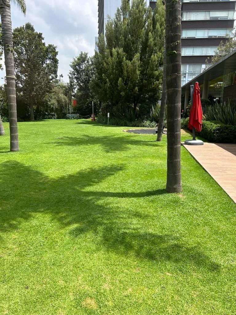 32 de 47