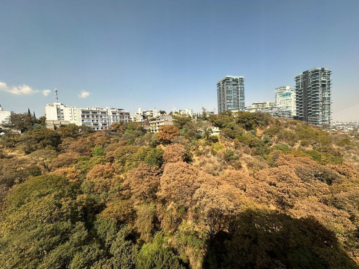 8 de 19