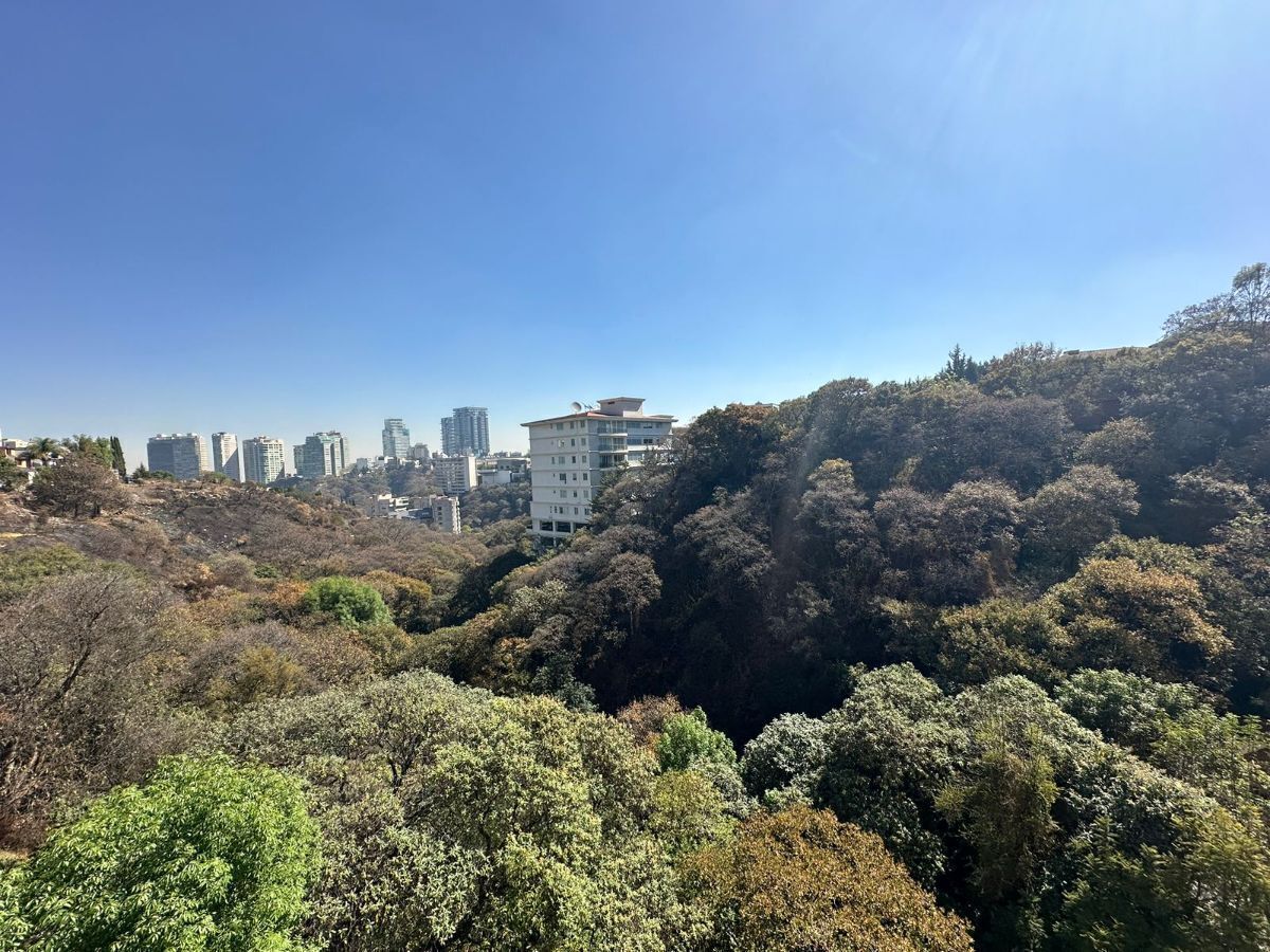 16 de 20