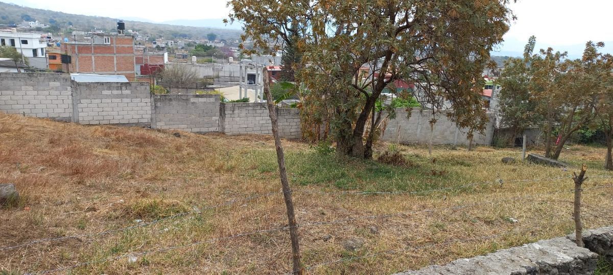 4 de 5