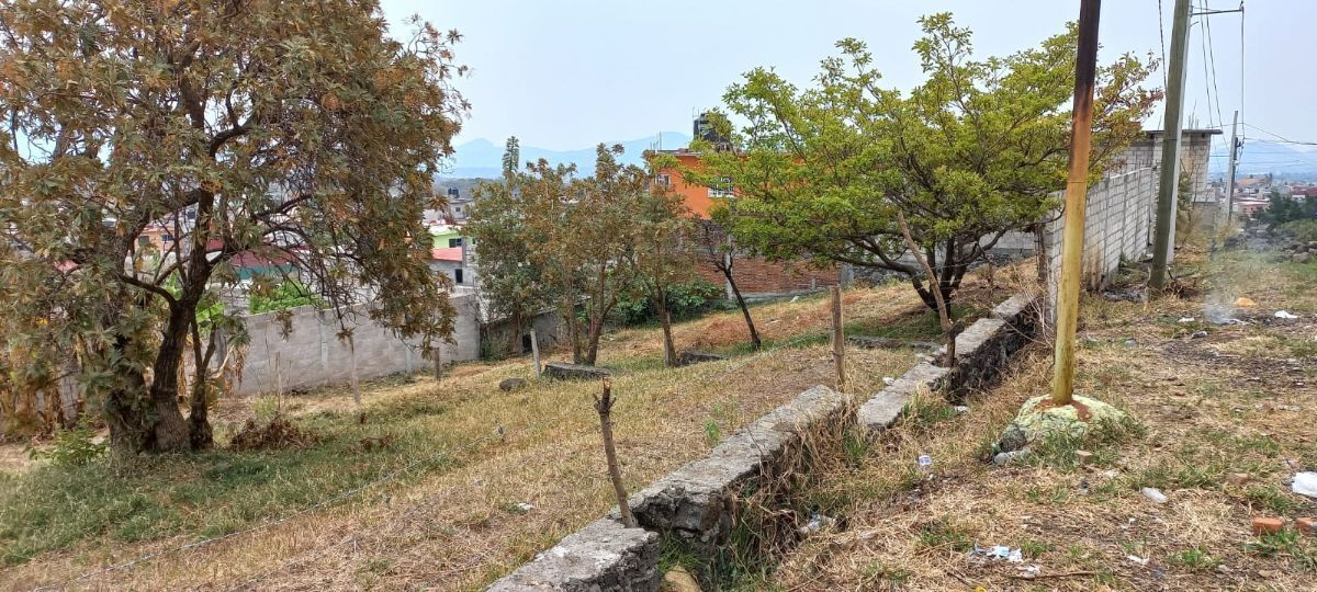 2 de 5