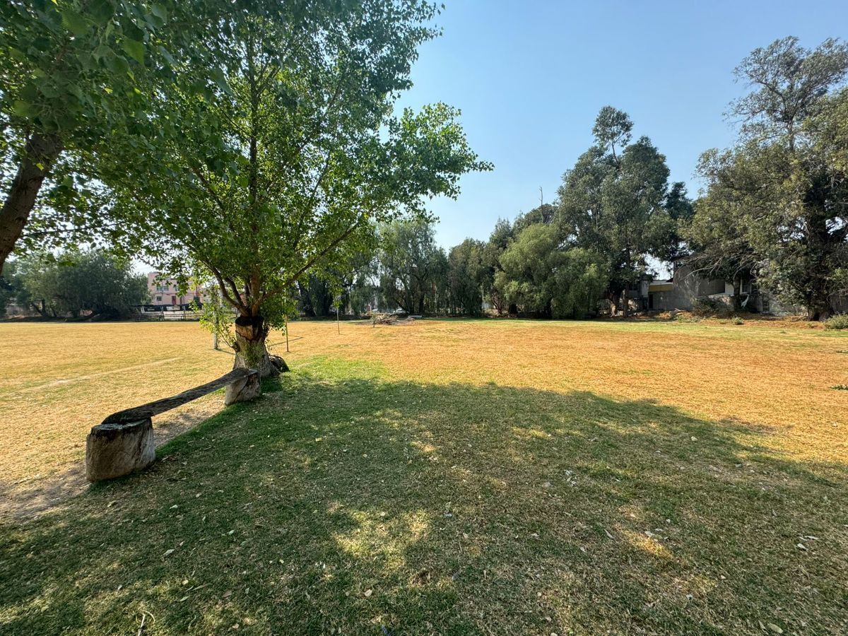 Terreno plano con potencial para inversión.