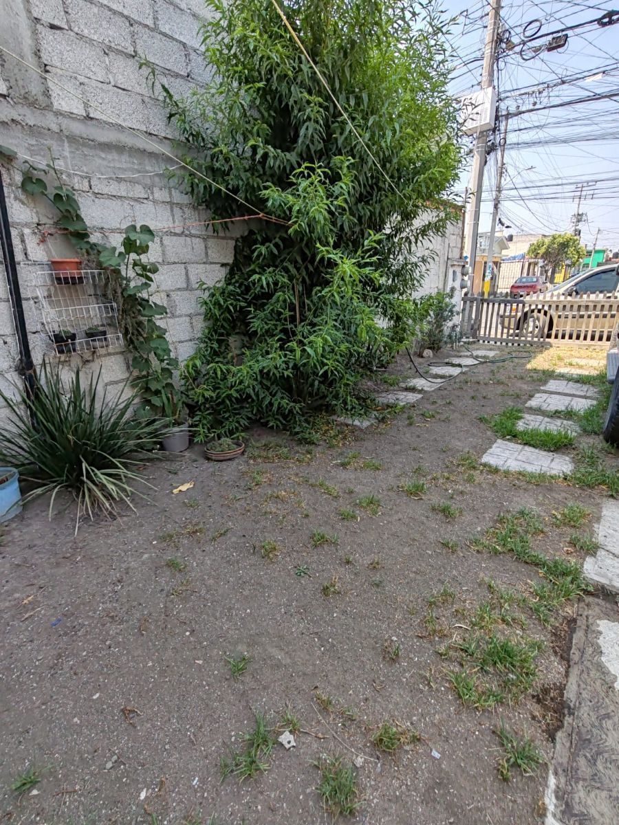 Imagen 3 de 10