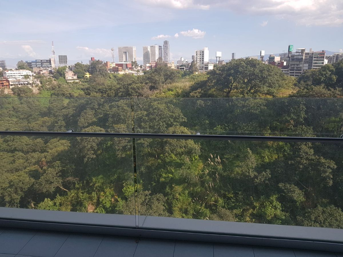 7 de 26