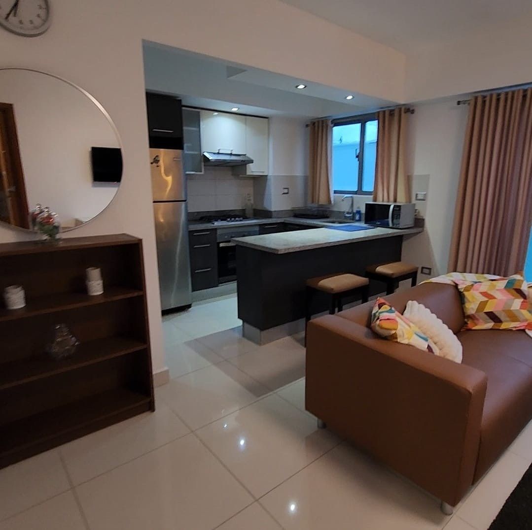 Apartamento en Gazcue, Santo Domingo Centro (Distrito Nacional), foto 3 de 13