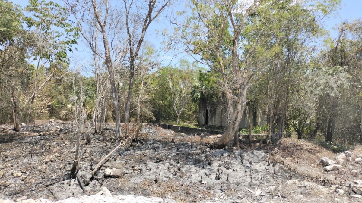 3 de 3: TERRENO