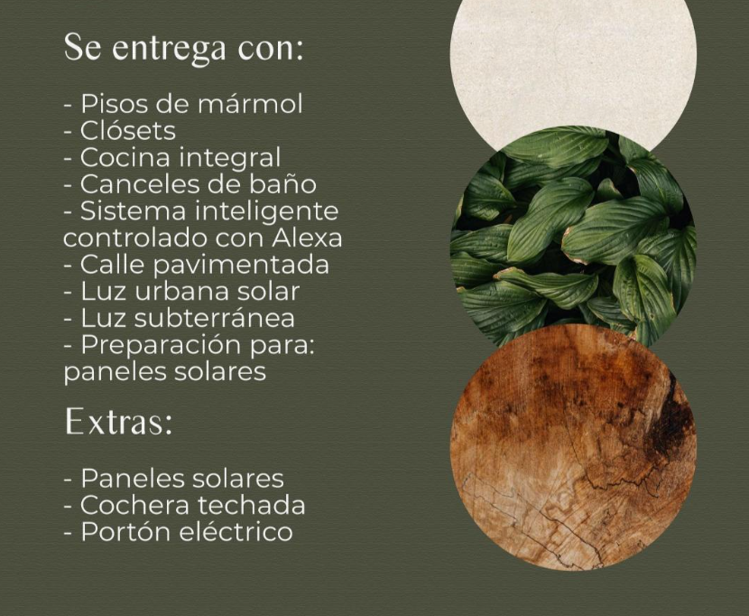 8 de 20